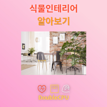 식물인테리어 탐구