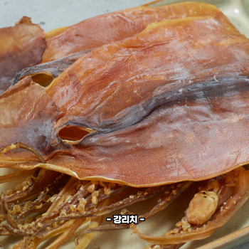 마른 오징어 보관법