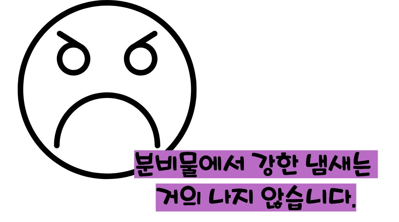 칸디다 질염 증상, 원인