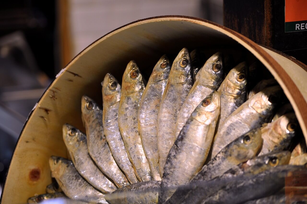 통조림 식품은 정말 안전한가? 통조림 제조 및 보관&amp;#44; 개봉 후 주의사항!