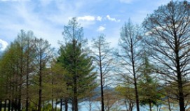 청남대(2025) 예약접수 방법 힐링여행 관련 사진