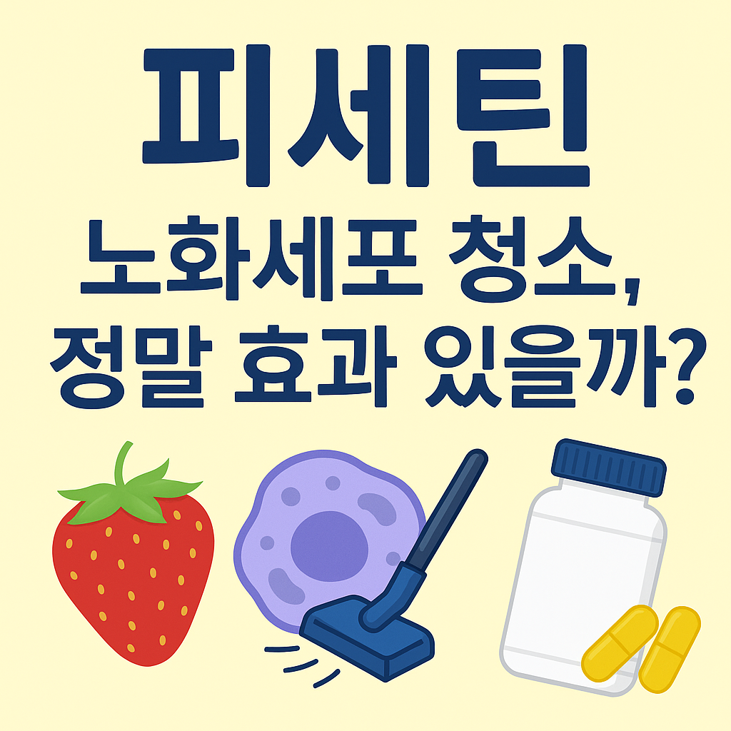 피세틴 영양제가 뭐야? 효과와 복용법 부작용 총정리