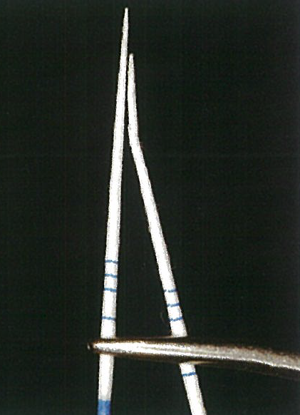 paper point를 이용한 근관 모양 파악의 예시