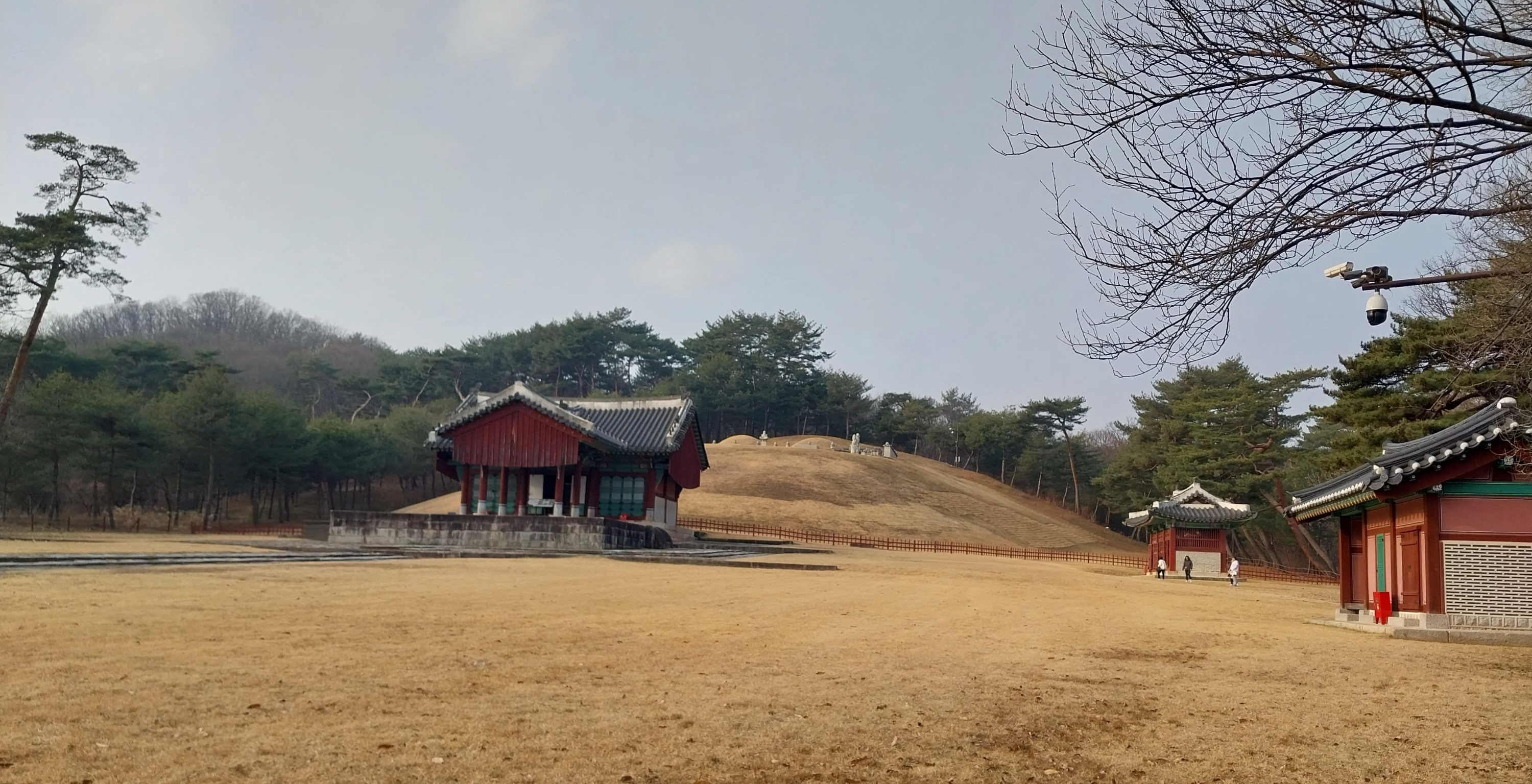 영조와 정순왕후의 합장릉 전경