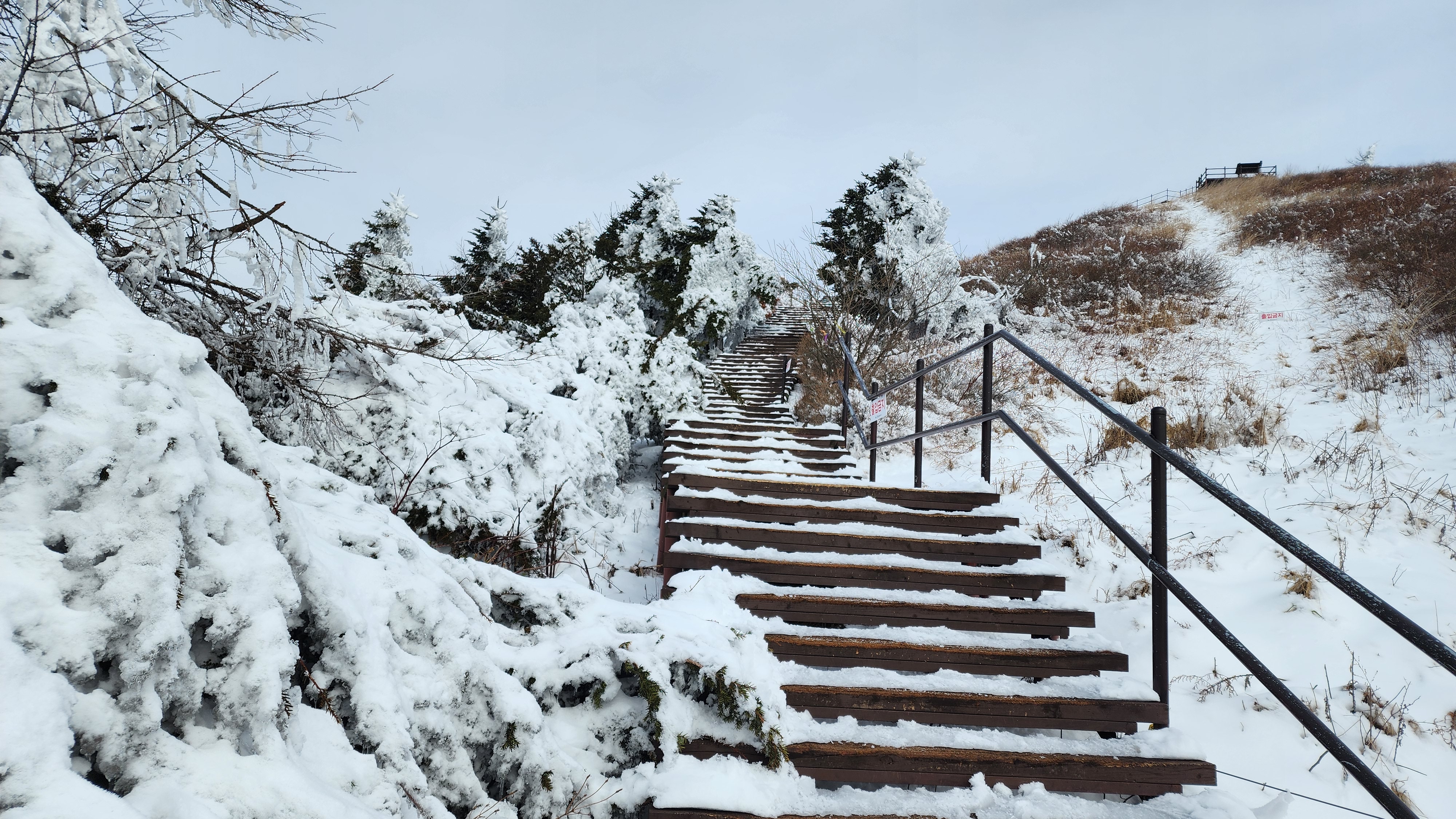 눈꽃 터널 등산로