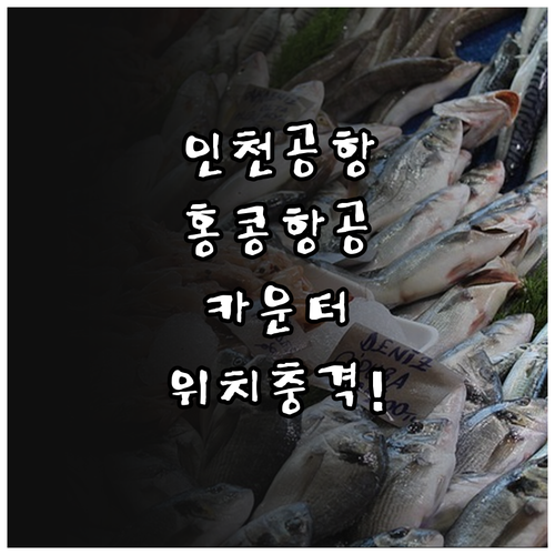 인천공항 홍콩항공 카운터 위치와 시간..