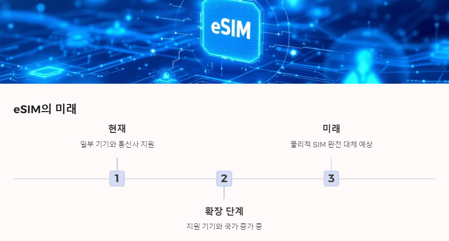 eSIM의 미래