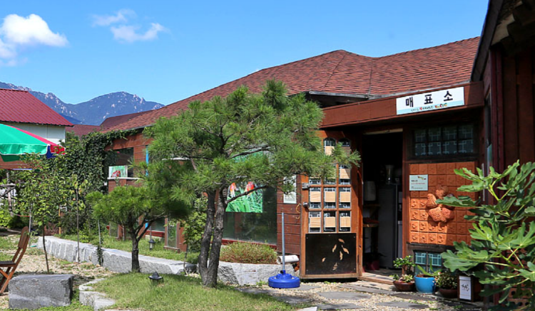 속초 테라크랩팜