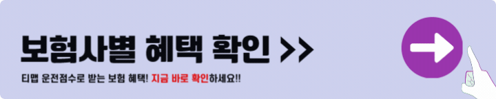 보험사별 할인혜택