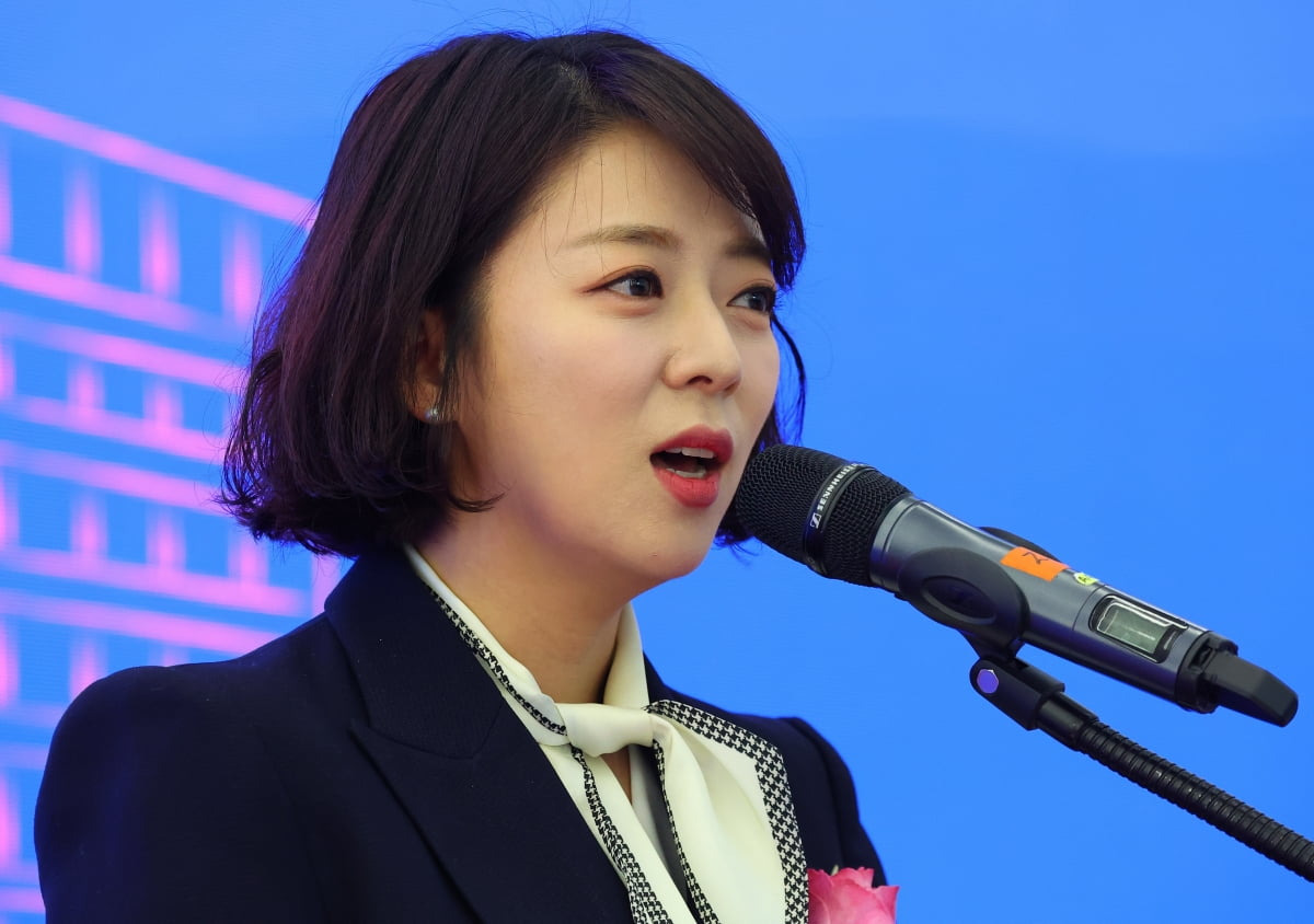 배현진 정치 경력
