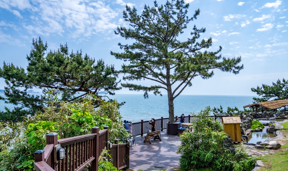 보령 가볼만한곳 (죽도 상화원)