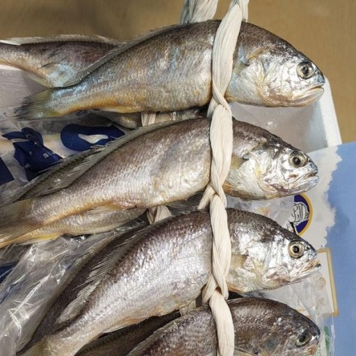 설날 음식