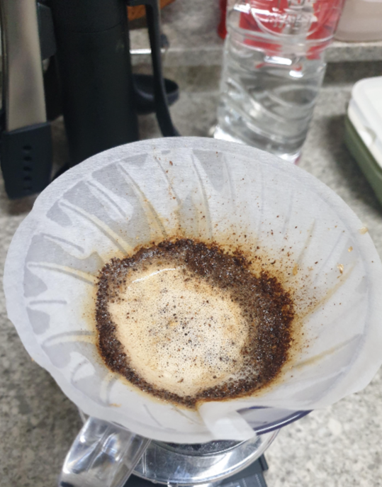 커피 베드에 물이 들어가 있는 모습.