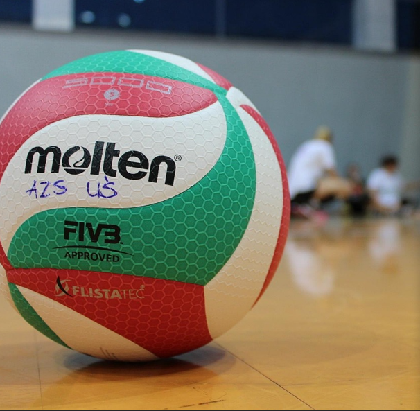 배구 경기장 배구공
