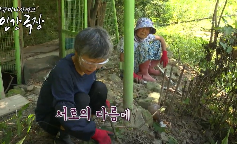 정데레사-꽃농장