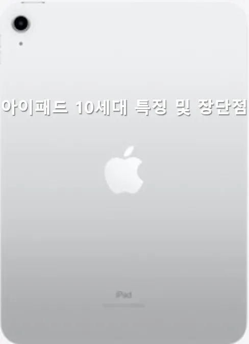 메인 이미지