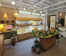 콩드슈매장