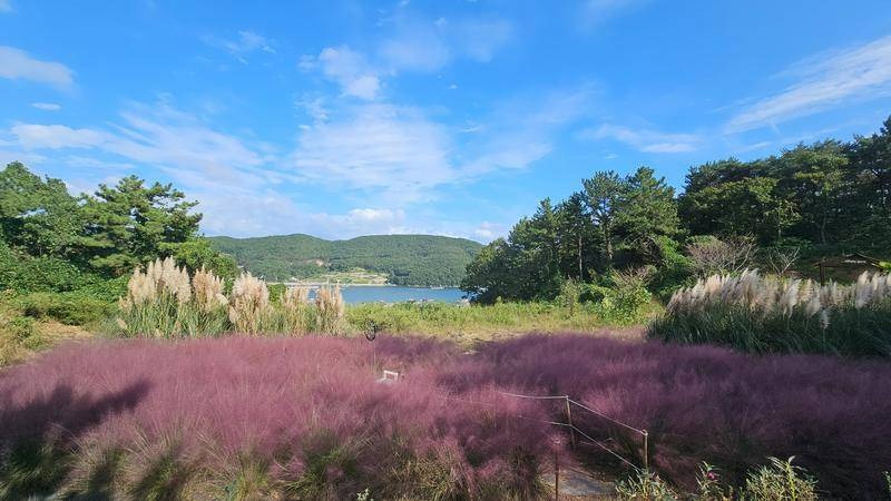 물빛소리정원 가을