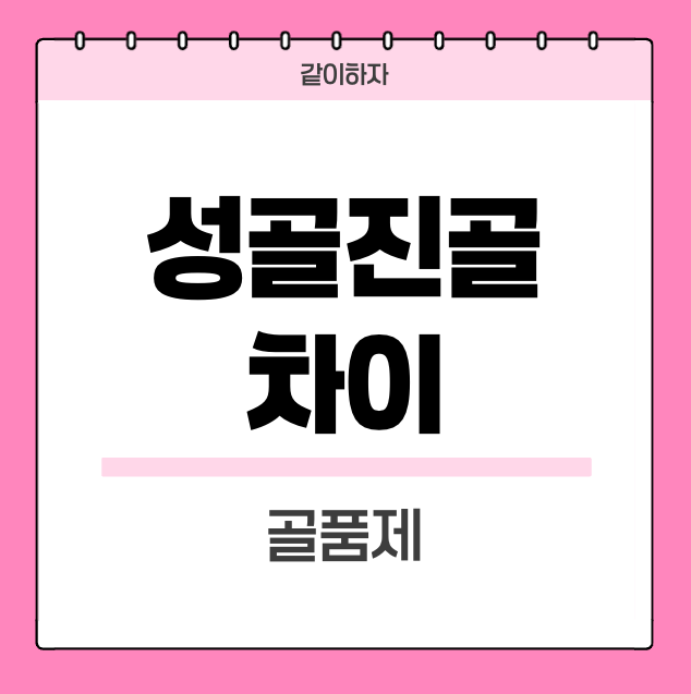 성골-진골-차이