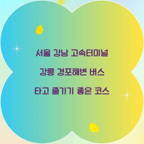 서울 강남 고속터미널 강릉 경포해변