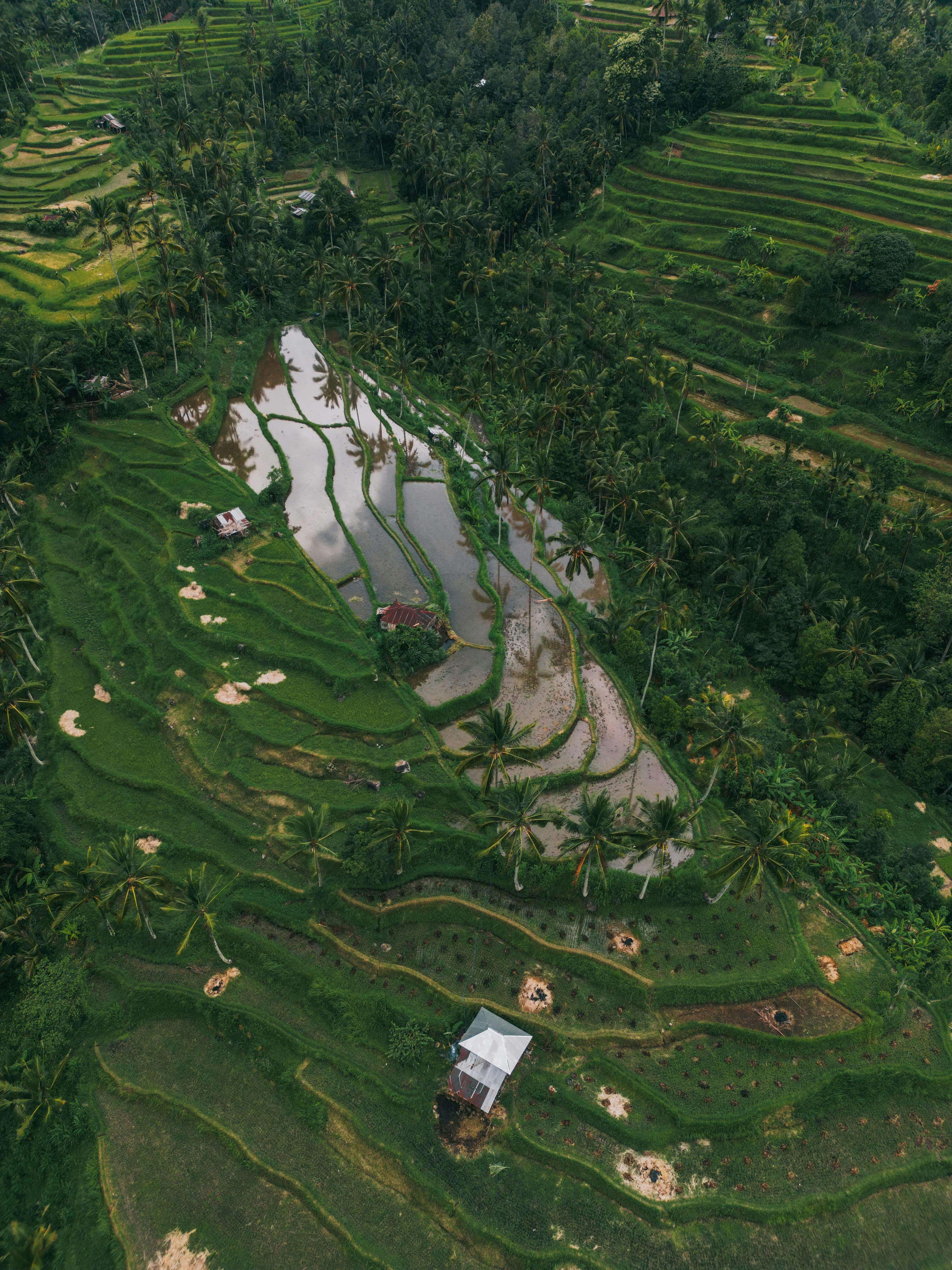 자녀장려금 자격조회13