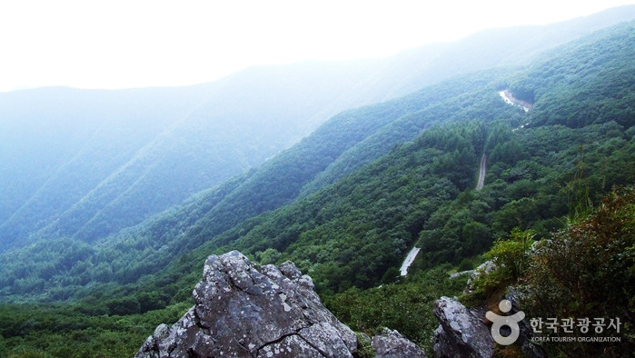 정선 백운산 최단코스