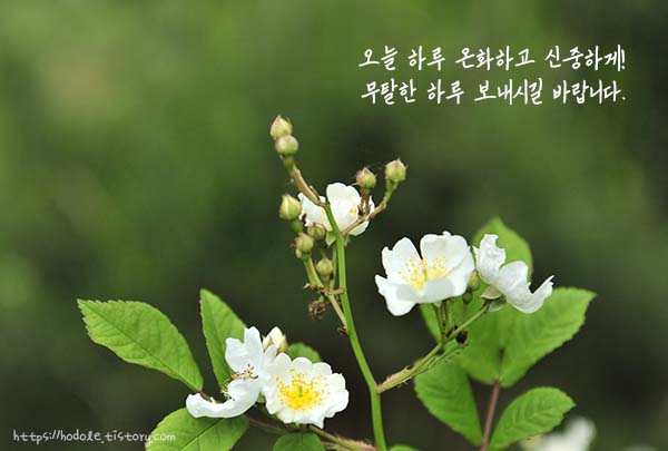 그게최고지