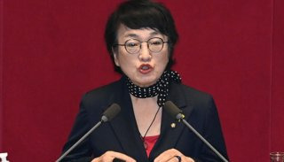 김진애 의원 프로필