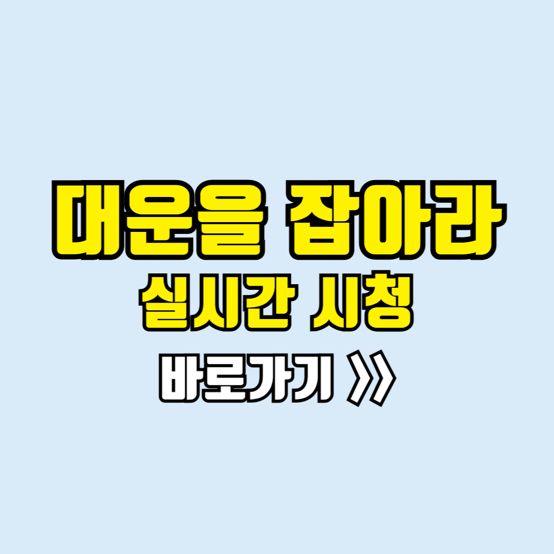 대운을 잡아라 보러가기