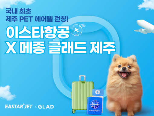 제주호캉ㅅ 반려견과 함께 하는 방법