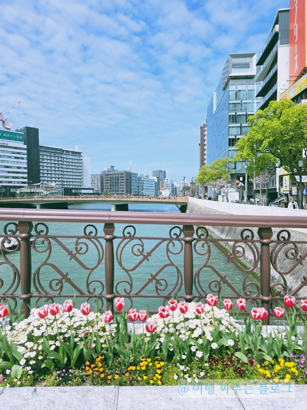 후쿠오카 나카스 강