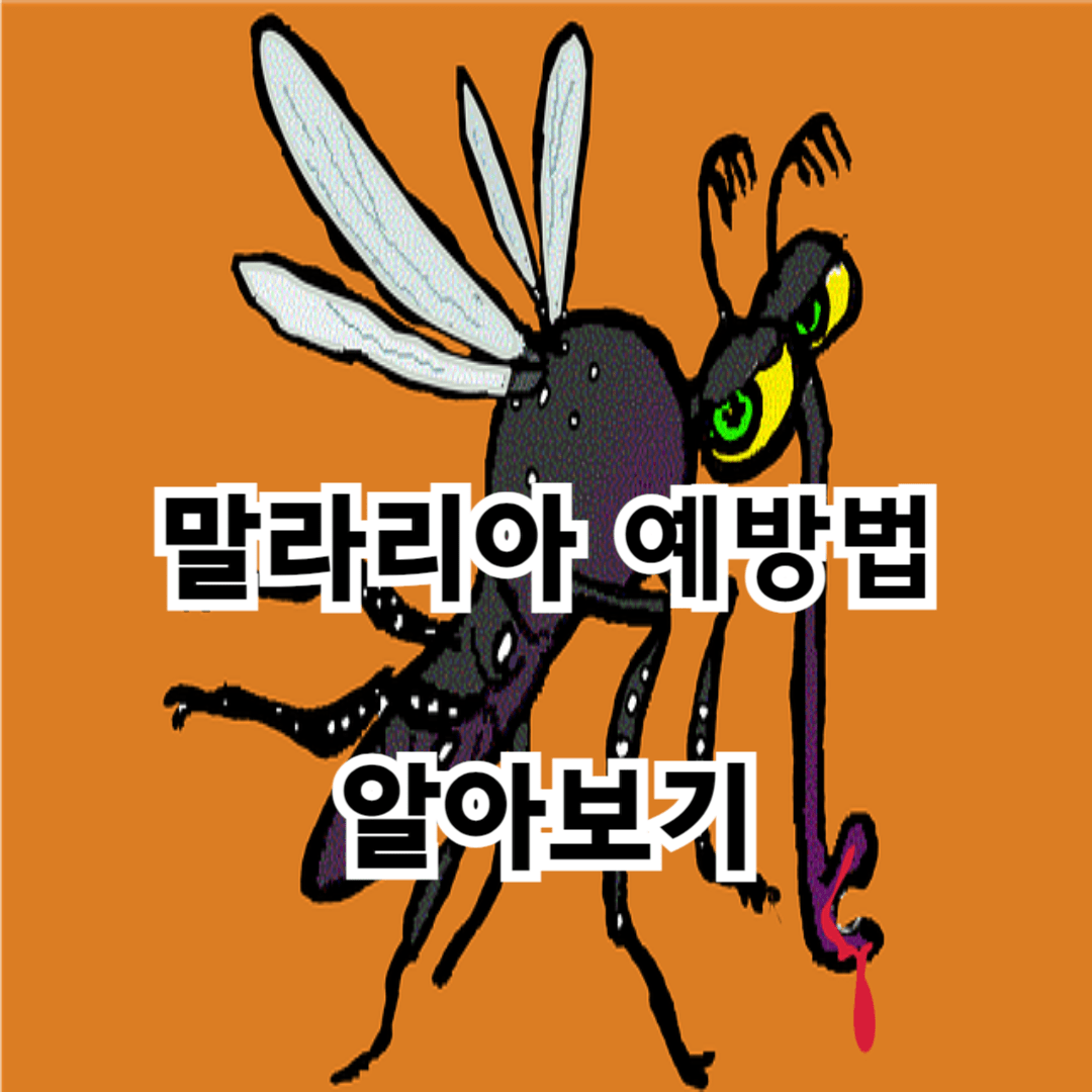 2024년 여름철 말라리아(학질) 예방하는 방법 알아보기(전국 말라리아 주의보 발령), 감염경로(원인), 증상, 잠복기