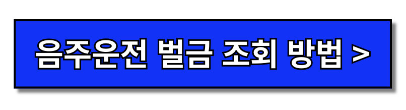 음주운전 벌금도 사면이 가능할까?(+2024)