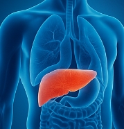 췌장에 좋은 음식