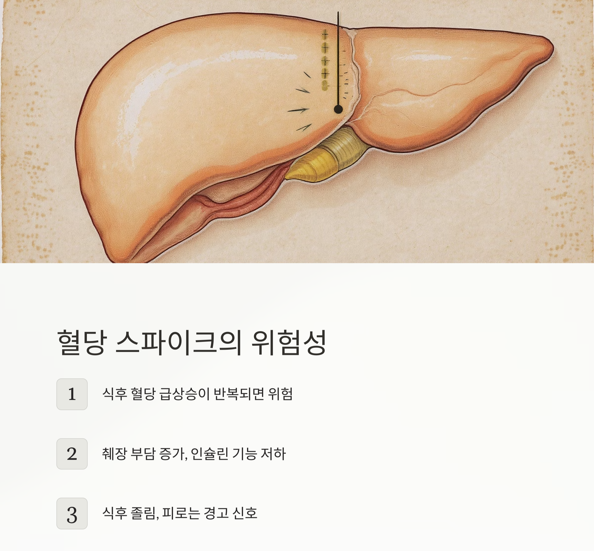 식후 혈당 조절, 중년이라면 꼭 알아야 할 관리 포인트