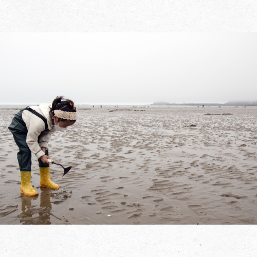 몽산포 해변 차박 캠핑 풍경