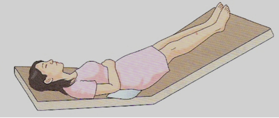 트렌델렌부르크 체위