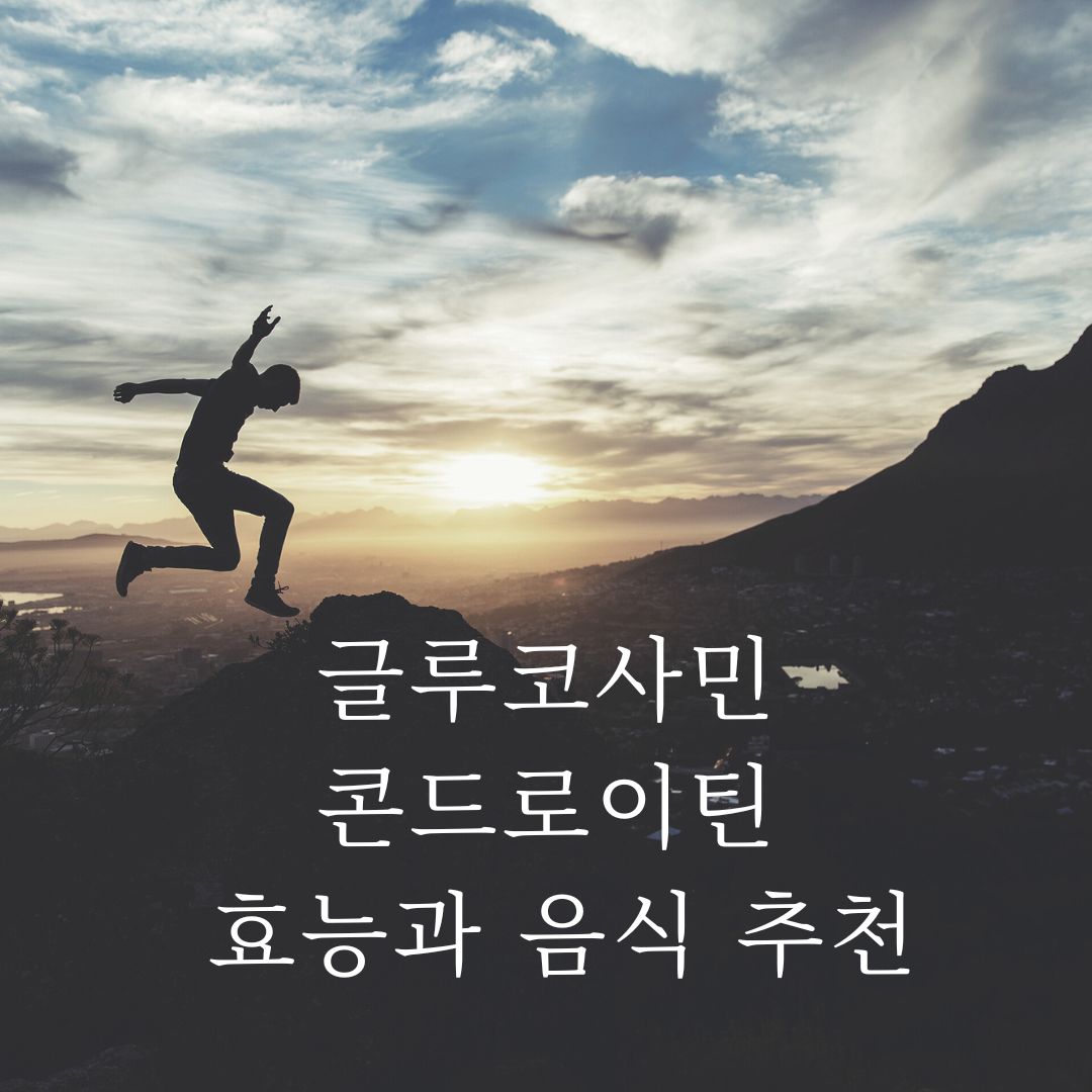 글루코사민과 콘드로이틴의 효능과 최고의 식품 알아보기