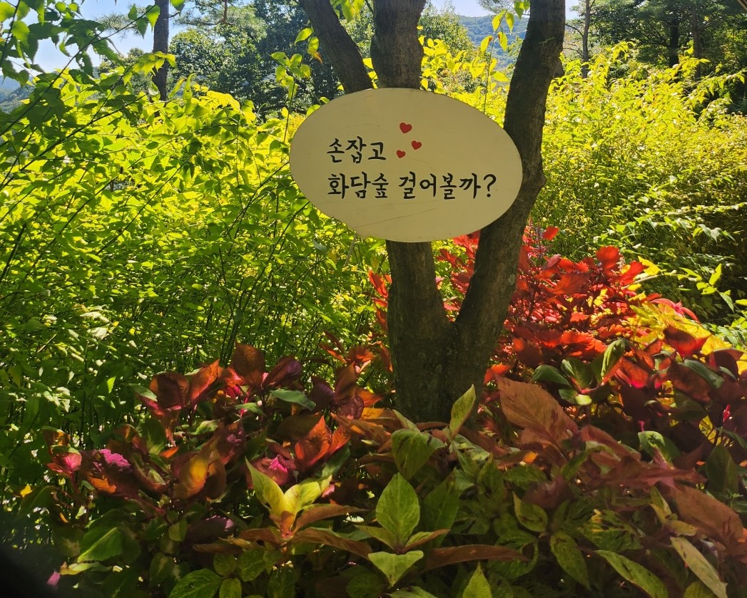 곤지암 화담숲 가을 단풍 예약 방법