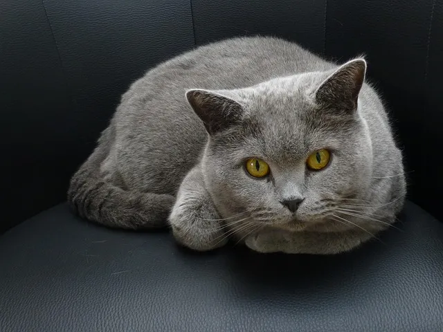 누리집 홈페이지 바로가기 빠른 접속 안내_2