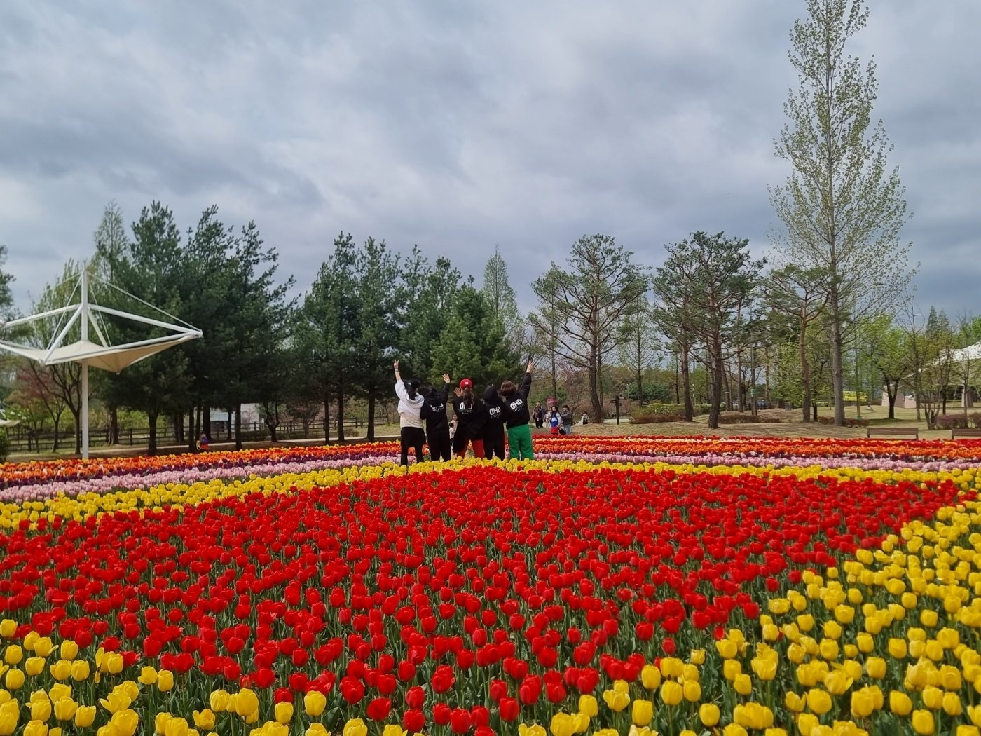 청주 튤립(문암생태공원)