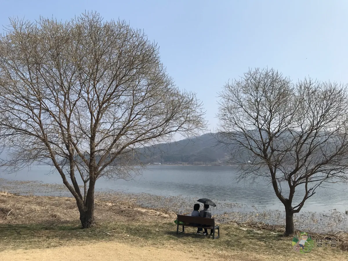 두물머리-역사공원-힐링포인트-나무-사이에-벤치가-있다