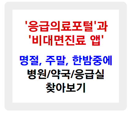 응급의료포털과 비대면진료 앱 '나만의닥터'로 설 연휴 병원&middot;약국&middot;응급실 찾기