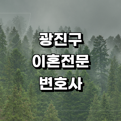 서울 광진구 이혼 변호사