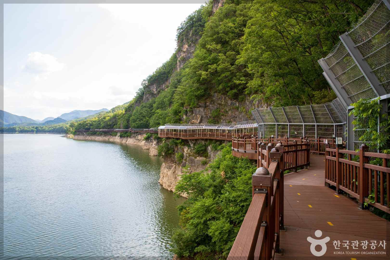 단양 소백산 철쭉 축제 기간 무료주차장 등산로