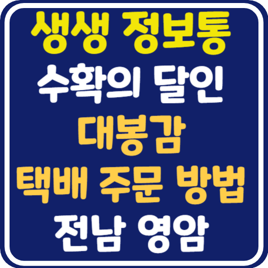 생생 정보통 영암 대봉감 택배 주문 방법