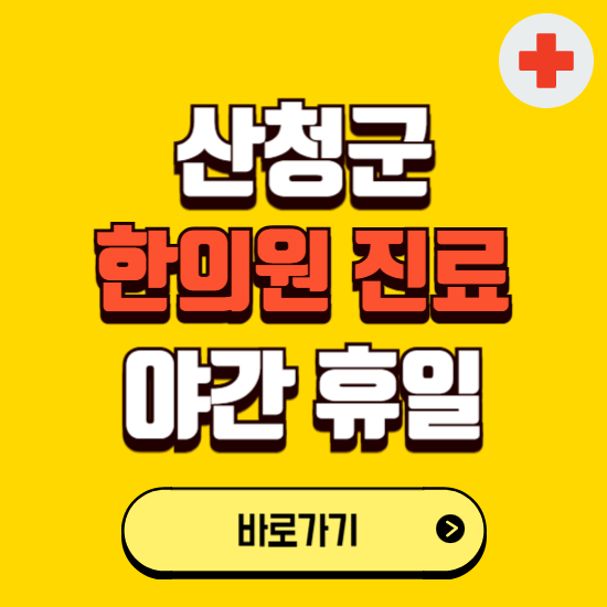 산청군 야간 휴일 한의원 한방병원 찾기 ❘ 24시 일요일 주말 연휴 응급진료 추천 잘하는 곳