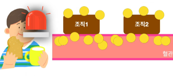 인슐린저항성