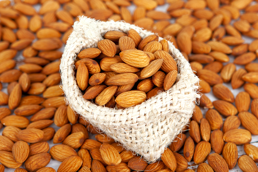 단백질 많은 음식 8가지