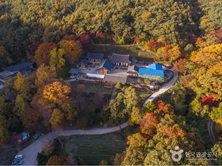 올가을 대한민국 반값여행